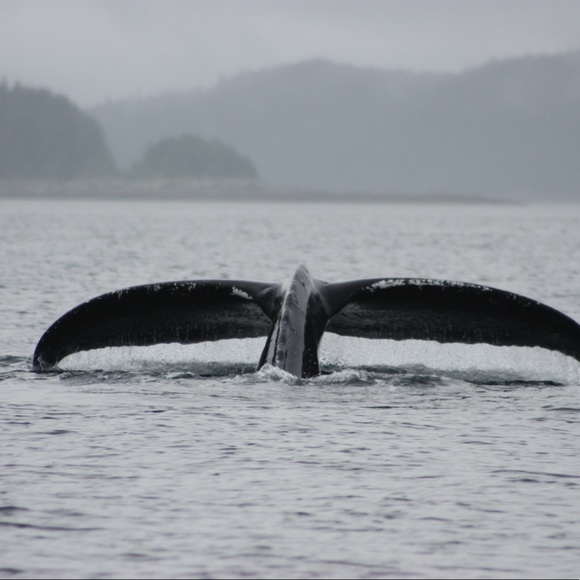 Meet your Posher, Pam - Picture 5 of 12